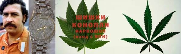 PSILOCYBIN Абаза