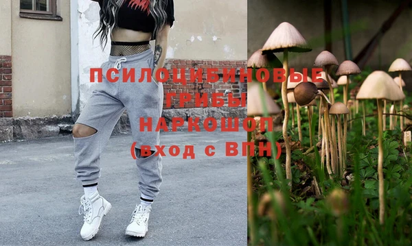 дмт Абинск