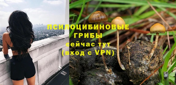 дмт Абинск