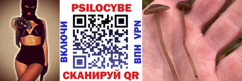 Псилоцибиновые грибы мухоморы  дарнет шоп  Ковдор 